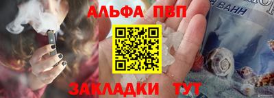 спиды Кингисепп