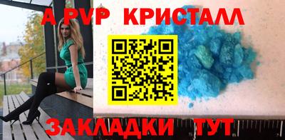 спиды Кингисепп