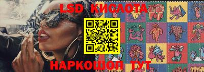 спиды Кингисепп