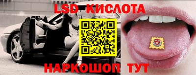 спиды Кингисепп