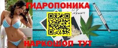 мяу мяу мука Кимры