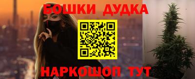 спиды Кингисепп