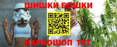 спиды Кингисепп