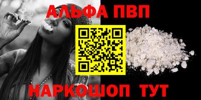 спиды Кингисепп